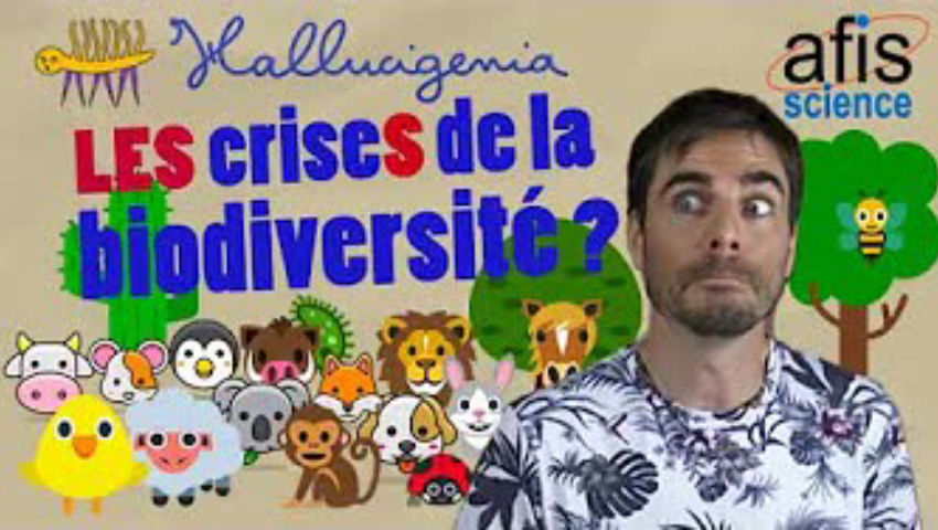 afis_science